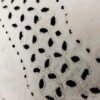 Blusa Perforada de Algodón Sin Mangas – Frescura y Comodidad en Cada Puntada